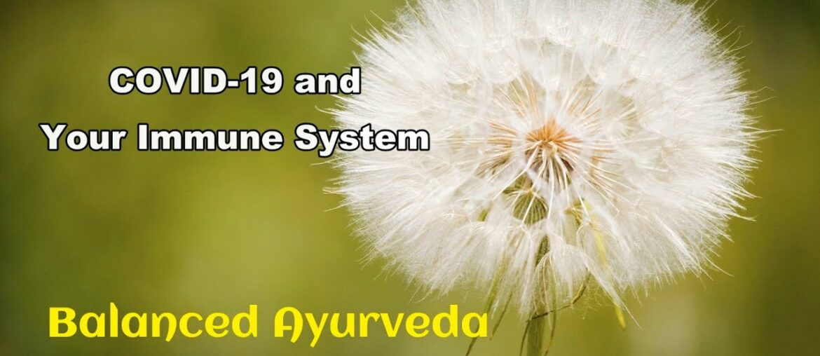 COVID 19 and Your Immune System