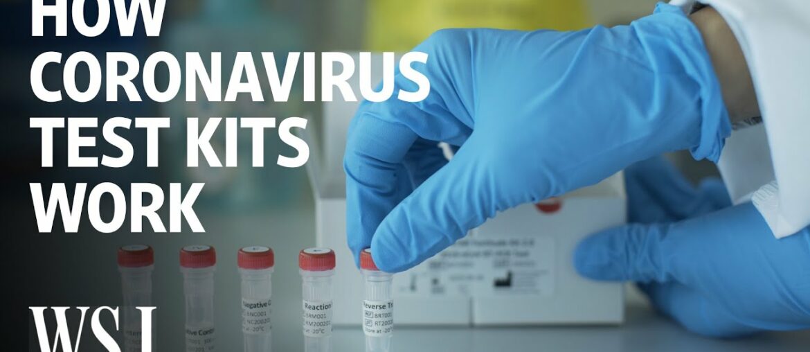 How Coronavirus Test Kits Work | WSJ