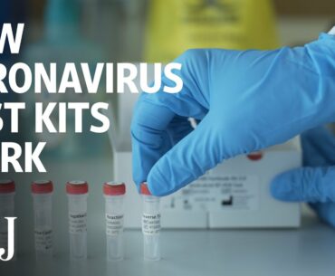 How Coronavirus Test Kits Work | WSJ