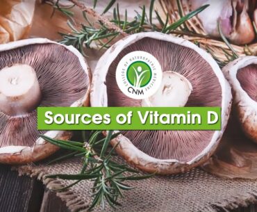 Sources of Vitamin D except for The Sun