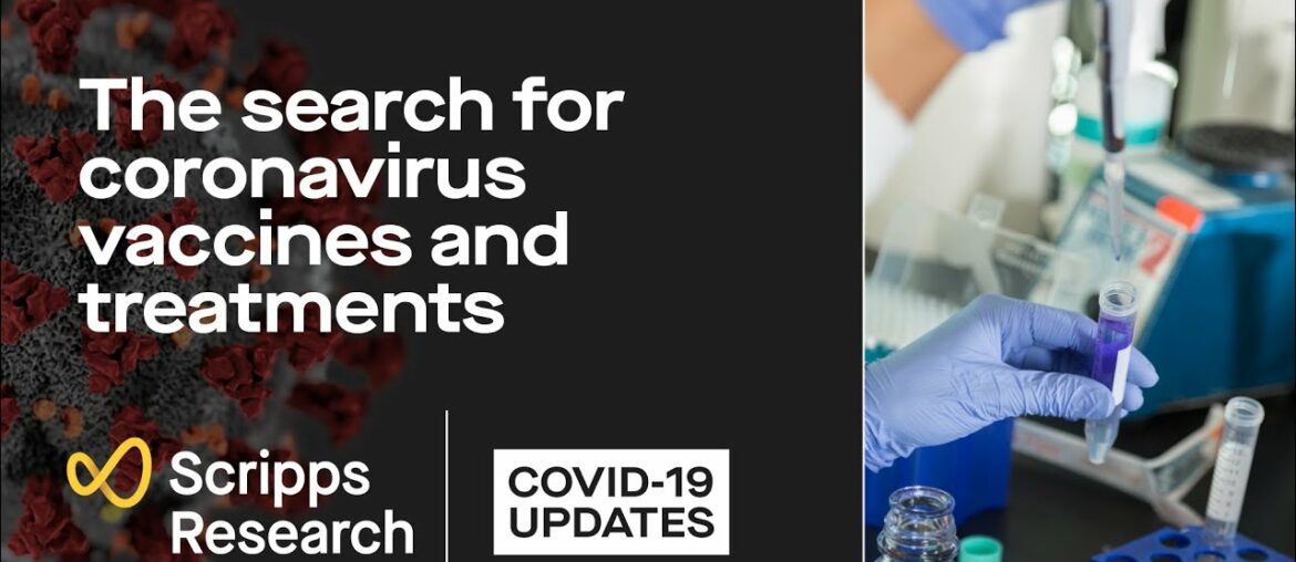 The search for coronavirus vaccines and treatments: Scripps Research COVID-19 updates