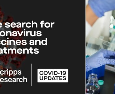 The search for coronavirus vaccines and treatments: Scripps Research COVID-19 updates