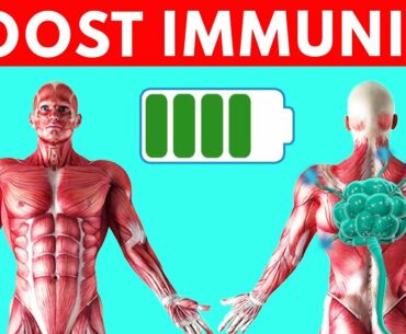 11 Foods That Boost  Your Immune System | HOW TO BOOST IMMUNITY