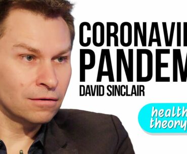 Harvard Researcher Tells You Everything You Need to Know About Coronavirus Pandemic | David Sinclair