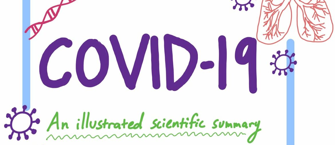 Covid-19:  An Illustrated Scientific Summary