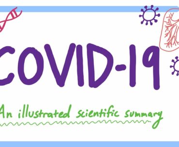 Covid-19:  An Illustrated Scientific Summary