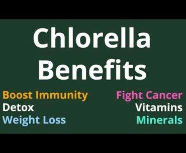 Chlorella Benefits: Immunity, Detox, Weight Loss, Cancer, Vitamins, Miinerals