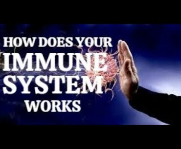 IMMUNE SYSTEM ? HOW DOES YOUR IMMUNE SYSTEM WORKS