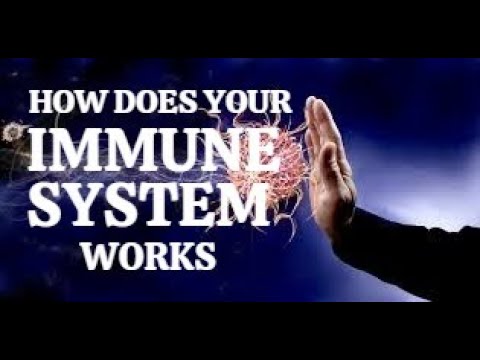 IMMUNE SYSTEM ? HOW DOES YOUR IMMUNE SYSTEM WORKS