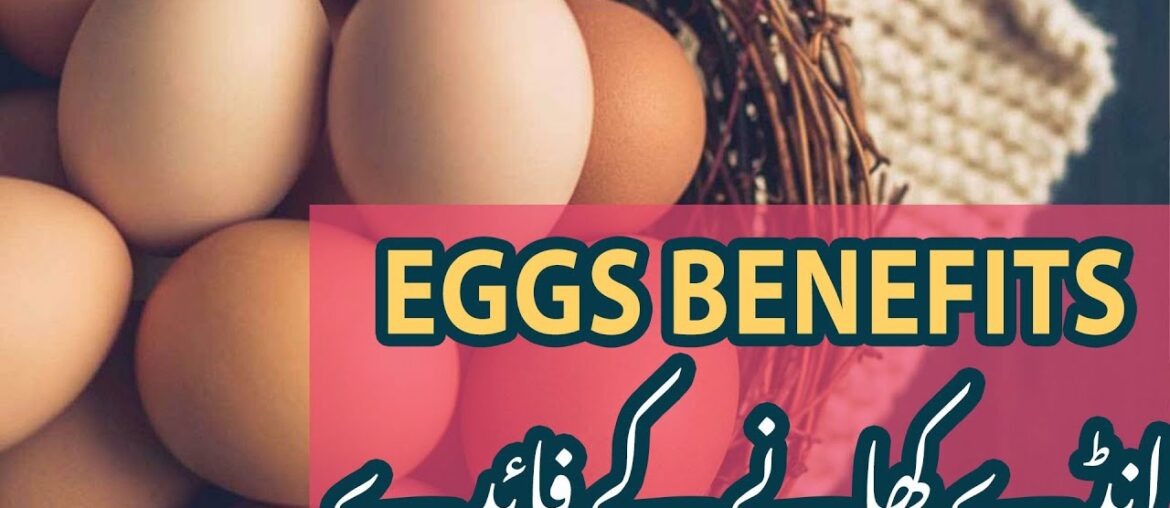 Andey khany k Faidey | Eggs Benefits| Life Arena