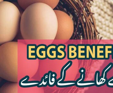 Andey khany k Faidey | Eggs Benefits| Life Arena