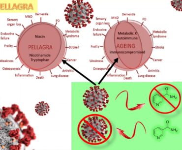 VITAMIN B3 (NICOTINAMIDE) & CORONAVIRUS (COVID-19)...