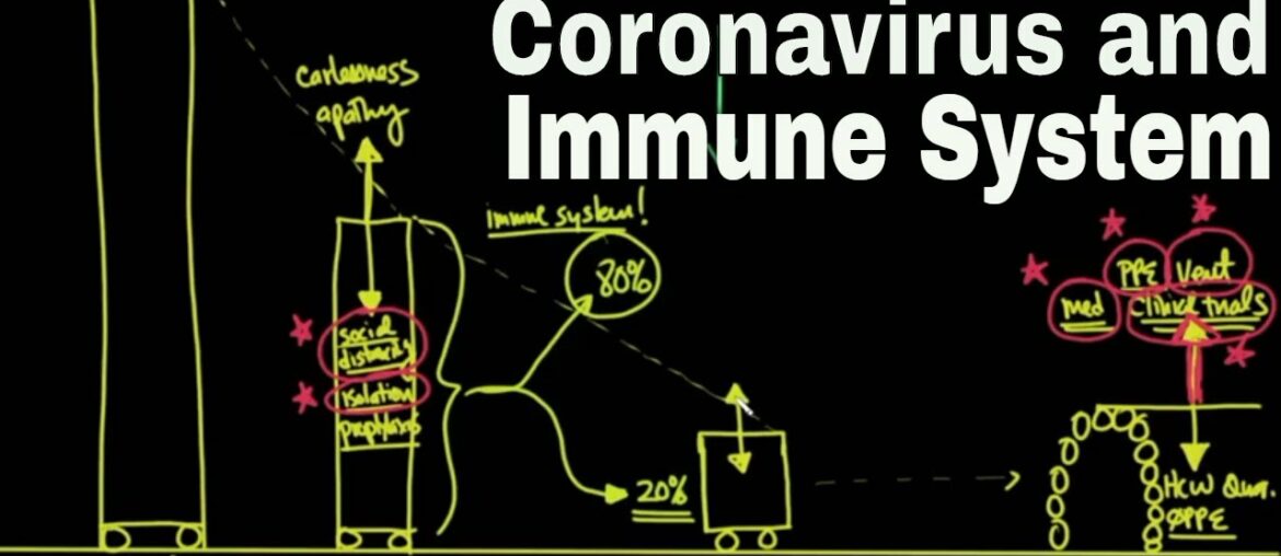 Coronavirus and Immune System.