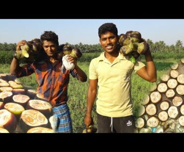 FRESH TODDY PALM FRUIT JUICE / Plants /Asian Palmyra palm IN MY VILLAGE NONGU VEHICLE