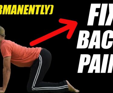 How to Fix "Low Back Pain"- At home (PERMANENTLY!)