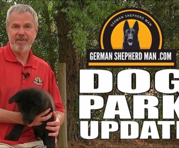 Are Dog Parks a good thing??? With German Shepherd Man