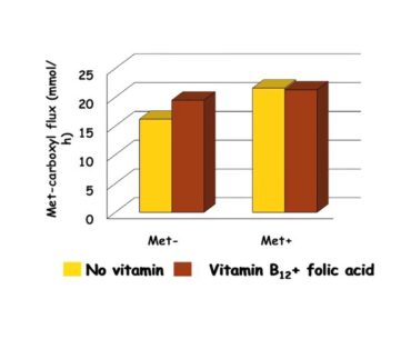 Folic Acid and Vitamin B12 Nutrition of Dairy Cow - Dr. Christiane Girard