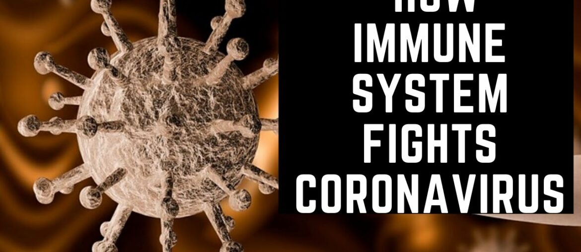 Coronavirus (COVID-19): How Immune System Fights Coronavirus