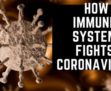 Coronavirus (COVID-19): How Immune System Fights Coronavirus