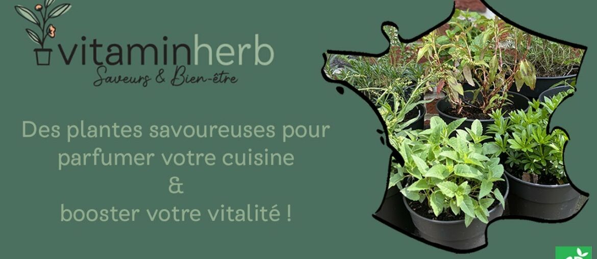 Lancement de Vitaminherb - Des plantes aux saveurs inédites, riches en vitamines et minéraux