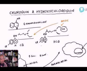 3 Ways Chloroquine and Hydroxychloroquine May Help Fight COVID-19