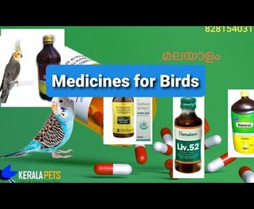 Birds medicine for begginers | തുടക്കക്കാർ തീർച്ചയായും അറിഞ്ഞിരിക്കേണ്ട മരുന്നുകൾ അവയുടെ ഉപയോഗം