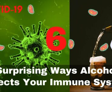 Does Alcohol Affect Immunity - Covid19: Alcohol And Your Immune System - What You Might Not Know!