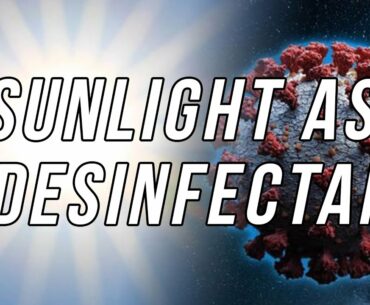 New Study Shows Sunlight can Kill the Coronavirus  - Vitamin D