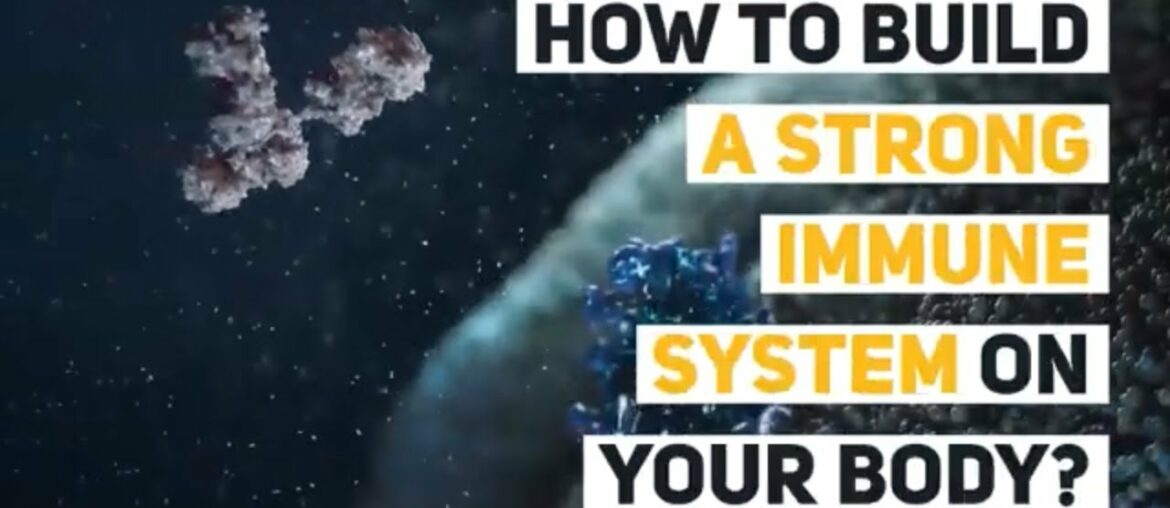 How to Build a Strong Immune System on your body