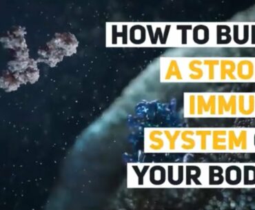 How to Build a Strong Immune System on your body