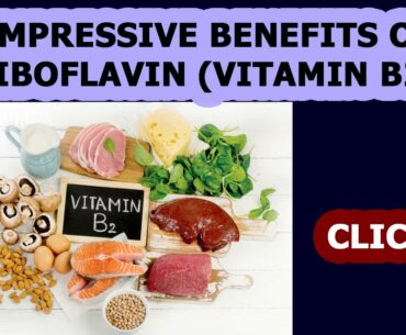 Vitamins  13 Impressive Benefits Of Riboflavin Vitamin B2