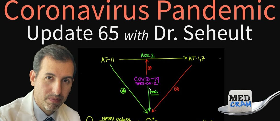 Coronavirus Pandemic Update 65: COVID-19 and Oxidative Stress (Prevention & Risk Factors)