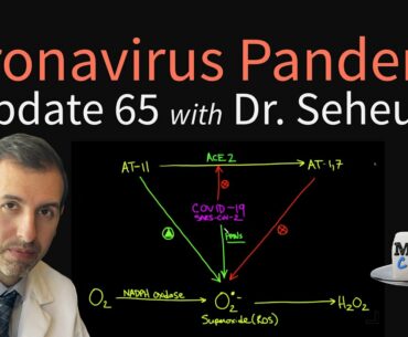 Coronavirus Pandemic Update 65: COVID-19 and Oxidative Stress (Prevention & Risk Factors)