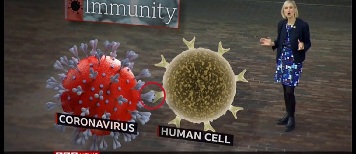 Coronavirus (Covid-19) Following the immunity trail (Global) - BBC News - 29th April 2020