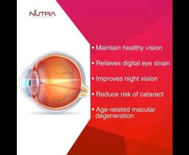 Nutra Botanics Lutein Eye - The Best Eye Supplement with Lutein, Zeaxanthin & Bilberry