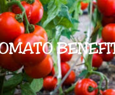 Nutrition Facts of Tomato | Benefits of Tomato | Health Benefits | Classic Hut