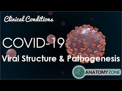 Coronavirus COVID-19 | Viral Structure & Pathogenesis