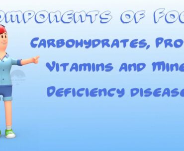 Components of Food - Deficiency Diseases - Carbohydrates, Vitamins, Proteins, Fats and Minerals