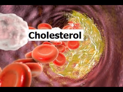 Natural Cholesterol Does