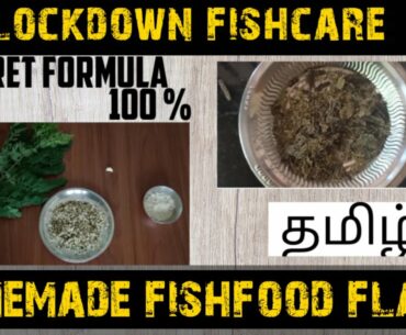 How to make fishfood flakes at home tamil| Alternate for spirulina| DIY fishfood| Aquapets & farming