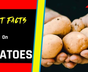 Fast Facts On Potatoes | Healthy Food | Guide TV