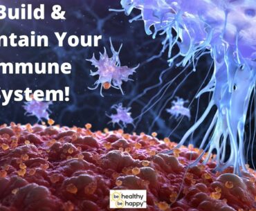 Build & Maintain Your Immune  System!