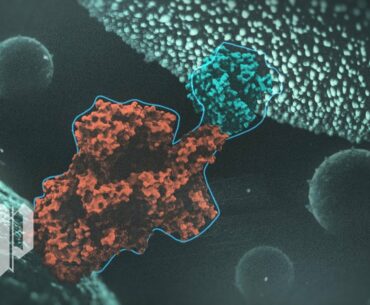 The novel coronavirus is a master of disguise: Here's how it works