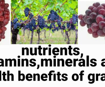 nutrients,vitamins,minerals and health benefit of grapes