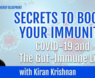 Secrets To Boost Your Immunity, COVID-19 & The Gut Immune Link w/ Kiran Krishnan & Ari Whitten