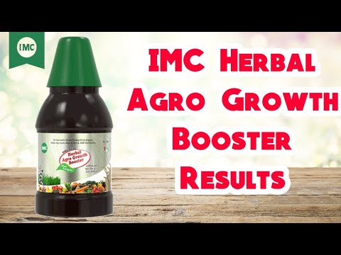 IMC Growth Booster Results Live