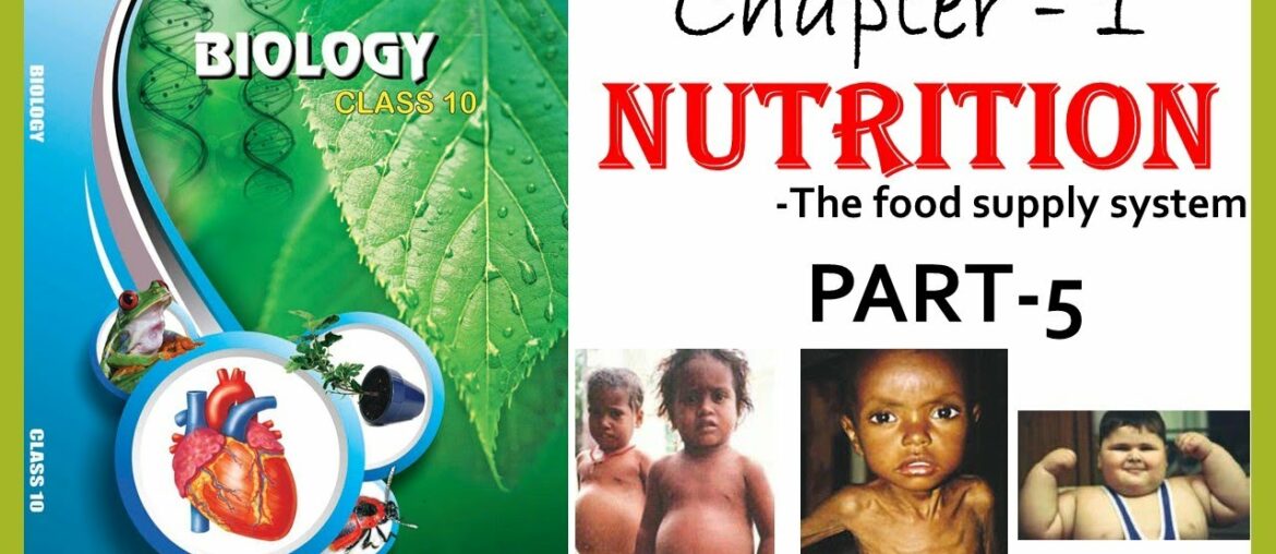 Nutrition-The food supply system, 10th Biology, Part-5