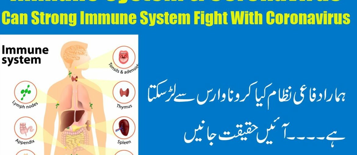 Immune System & Corona Virus | Can Strong Immune System Fight With Coronavirus ?