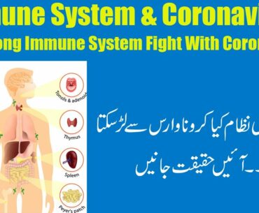 Immune System & Corona Virus | Can Strong Immune System Fight With Coronavirus ?