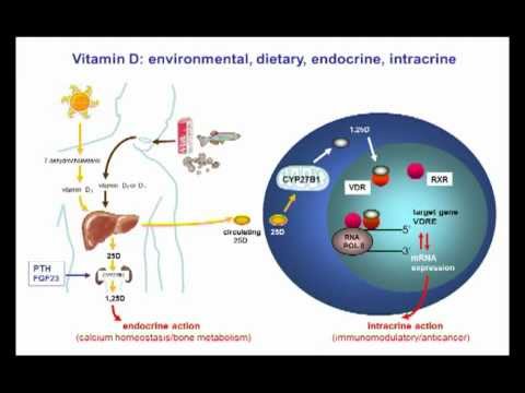 Nutrient mechanisms in infection: Vitamin D-deficiency by Martin Hewison